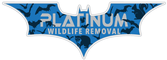 Wildlife Removal Wabash County