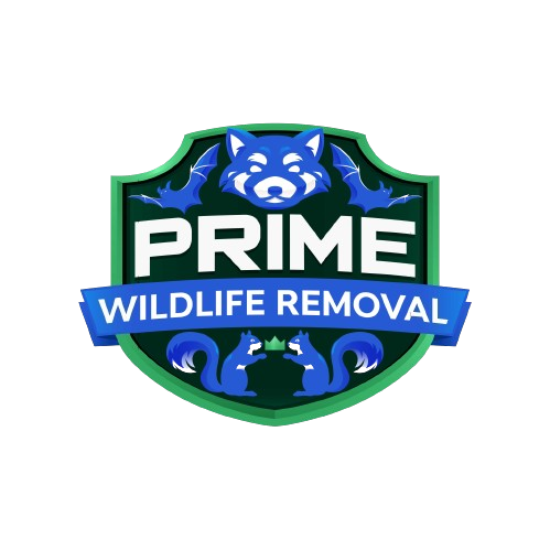 Wildlife Removal Wabash County